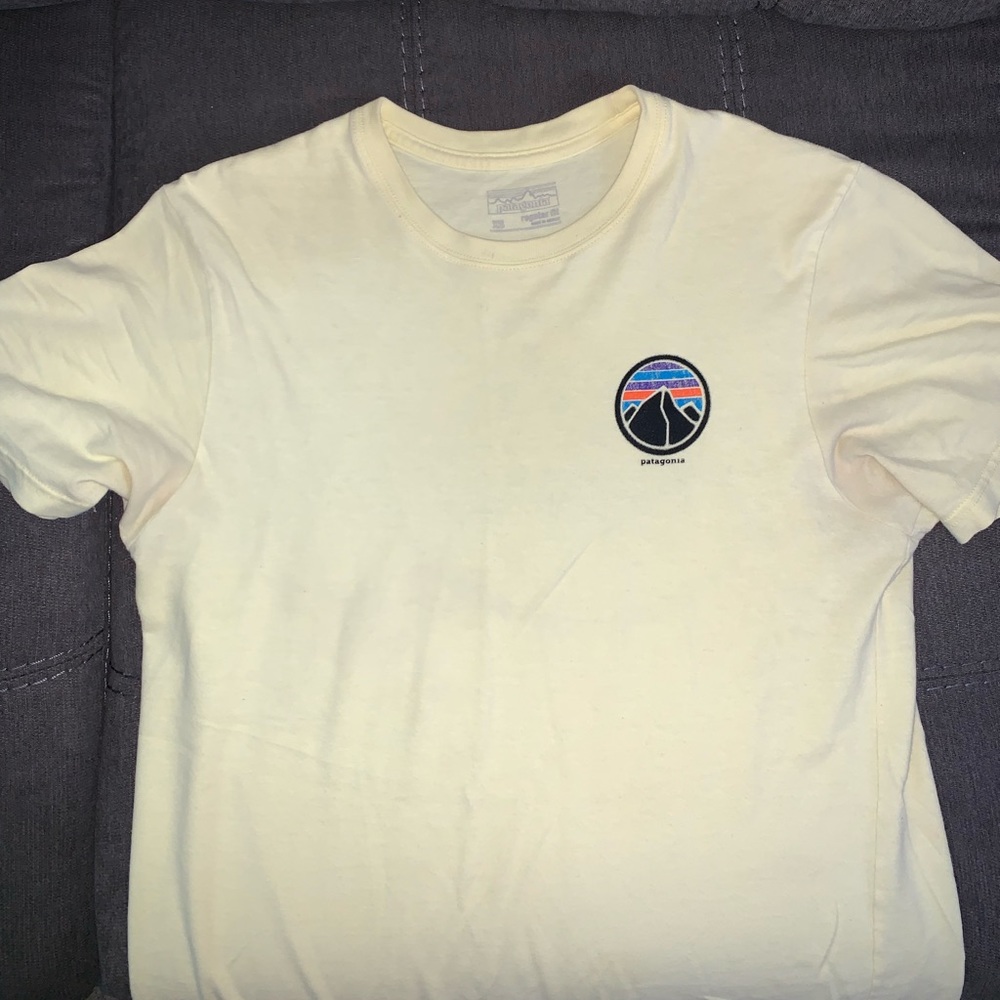 patagonia t shirt